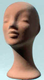 beige1.jpg (47837 Byte)